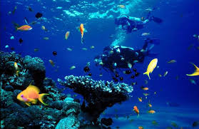 Scuba Diving Excursion in EL Gouna