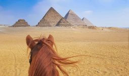 Horse riding trip in the pyramids of Giza 