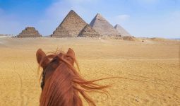 رحلة ركوب الخيل في اهرامات الجيزة