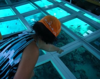 A unique glass boat trip in Dahab