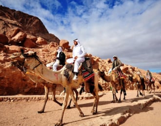 Exciting horse and camel rides at the Laguna Beach