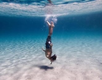 Diving activity watching the Marine life and coral reefs