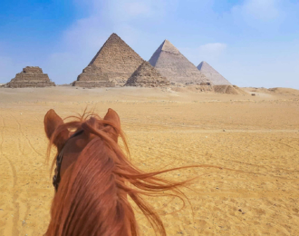 رحلة ركوب الخيل في اهرامات الجيزة