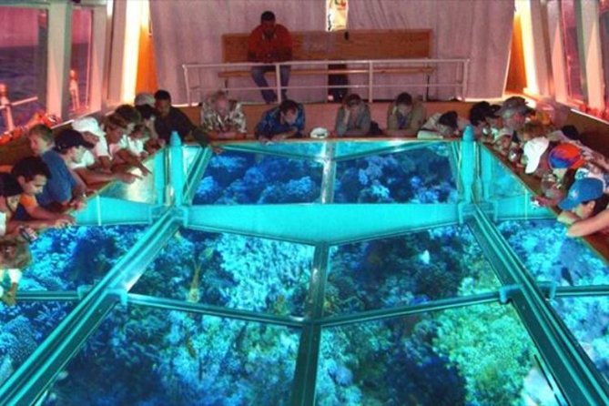 A unique glass boat trip in Dahab