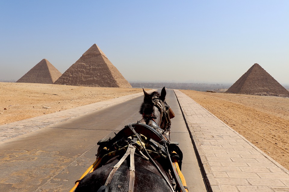 Horse riding trip in the pyramids of Giza 
