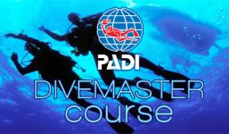 كورس احتراف تعليم الغوص (بادي- PADI)