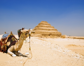 Amazing Giza Day Tour