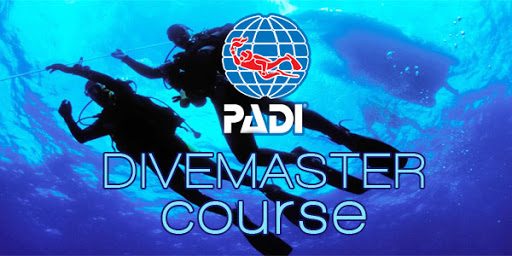 كورس احتراف تعليم الغوص بادي Padi