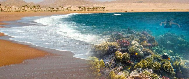 Nabq Nature Reserve