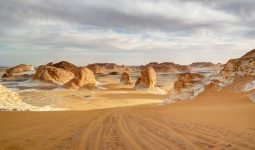 enjoy adventure and camping at western desert