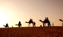 camel riding adventure 