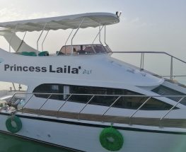 fishing trip Ain Sokhna