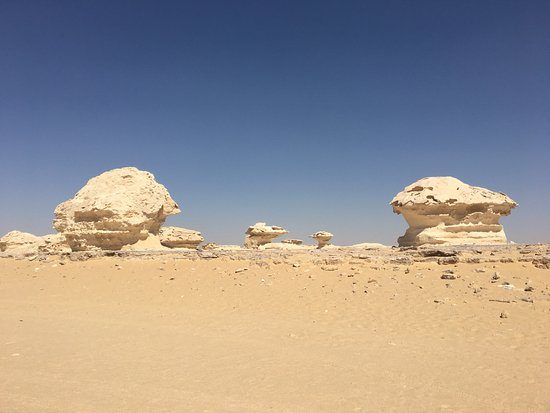 استمتع بهذه المغامرة الرائعة بين عشية وضحاها في الصحراء البيضاء والسوداء