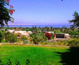 Best of Fayoum - 2 days / 1 night