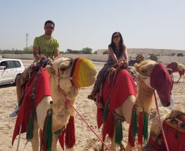 اختبر سفاري الجمل في قطر