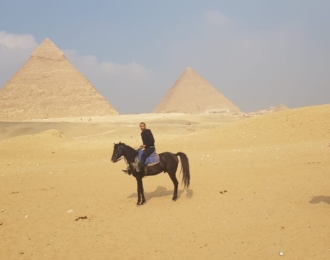 Enjoy the countryside atmosphere and safari