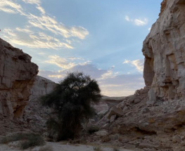 المشي لمسافات طويلة في وادي الغموض