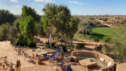 Live an unforgettable experience in the beauty of the desert at Al Dakhla Oasis