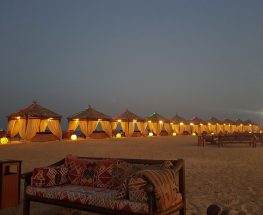 ليلة سفاري في الصحراء