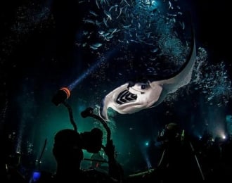 Night Dive Specialty Course