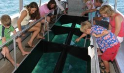 Glass Bottom Boat trip 