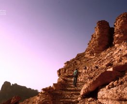 المشي عبر درب الجمال القديم