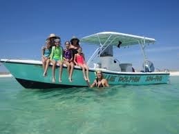 Private dolphin watching and snorkeling trip for 6