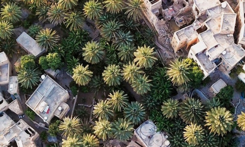 Tourism in Misfat Al Abriyeen: A Guide to Oman’s Mud Village