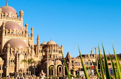 Sharm el Sheikh Activities: Explore the beauty of the Sinai Peninsula