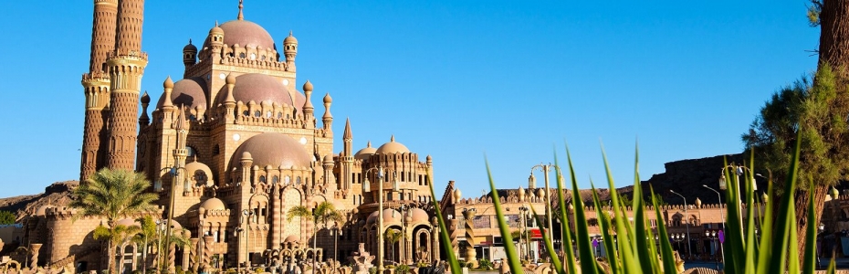 Sharm el Sheikh Activities: Explore the beauty of the Sinai Peninsula