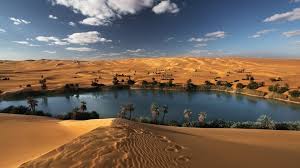 Discover Al Bahriya Oasis