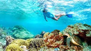 Snorkeling at Bander Al Khayran Island