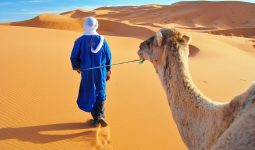Tour of 3 days from Marrakech to Fez through desert 