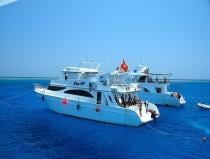 رحلة غطس في بيت الدلافين بالغردقة