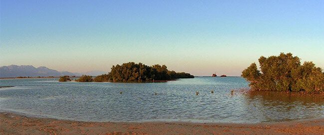 Nabq Protected Area