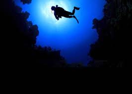Enjoy a Night Diving