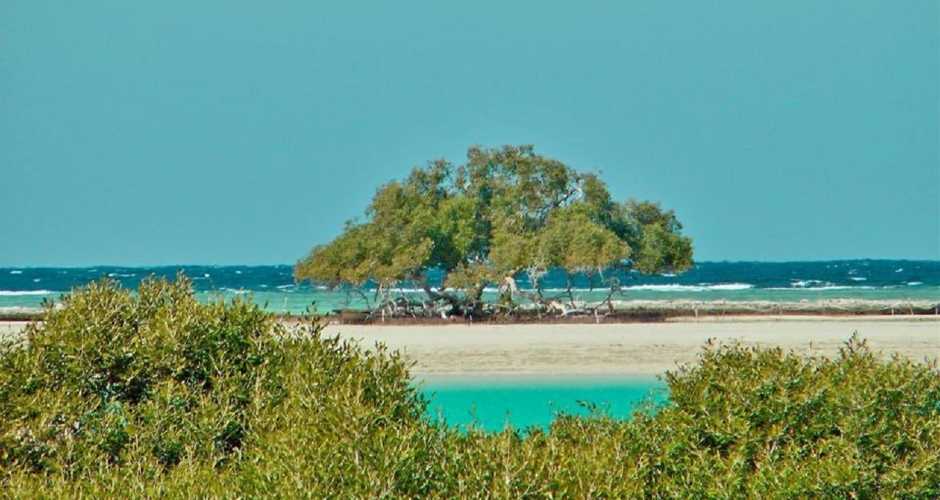 Dailly Tour at Hankorab Beach El Qulaan Lagoon – Marsa Alam