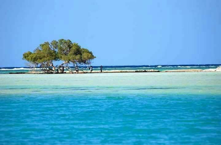 Dailly Tour at Hankorab Beach El Qulaan Lagoon – Marsa Alam