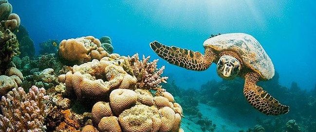 Marsa Mubarak National Park