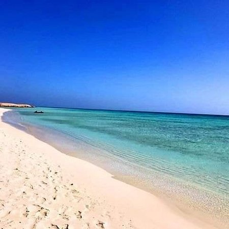 Dailly Tour at Hankorab Beach El Qulaan Lagoon – Marsa Alam