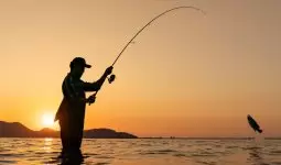صيد الأسماك في عمان