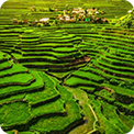 Engage with the nature in Banaue