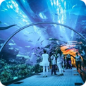 Aquarium and Underwater Zoo