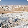 Farafra Oasis
