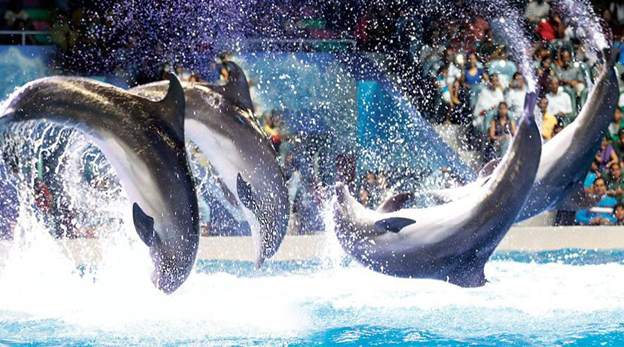 Must-Visit Attractions