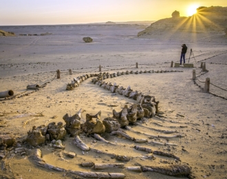 رحلة وادي الحيتان