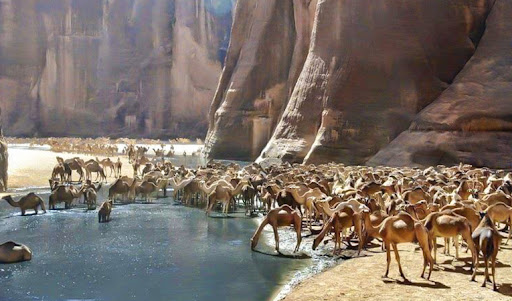 Marsa Alam, Wadi El Gemal National Park