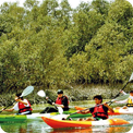 Kayak Abu Dhabi's Eastern Mangroves