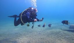 Discover scuba diving in the Half Moon