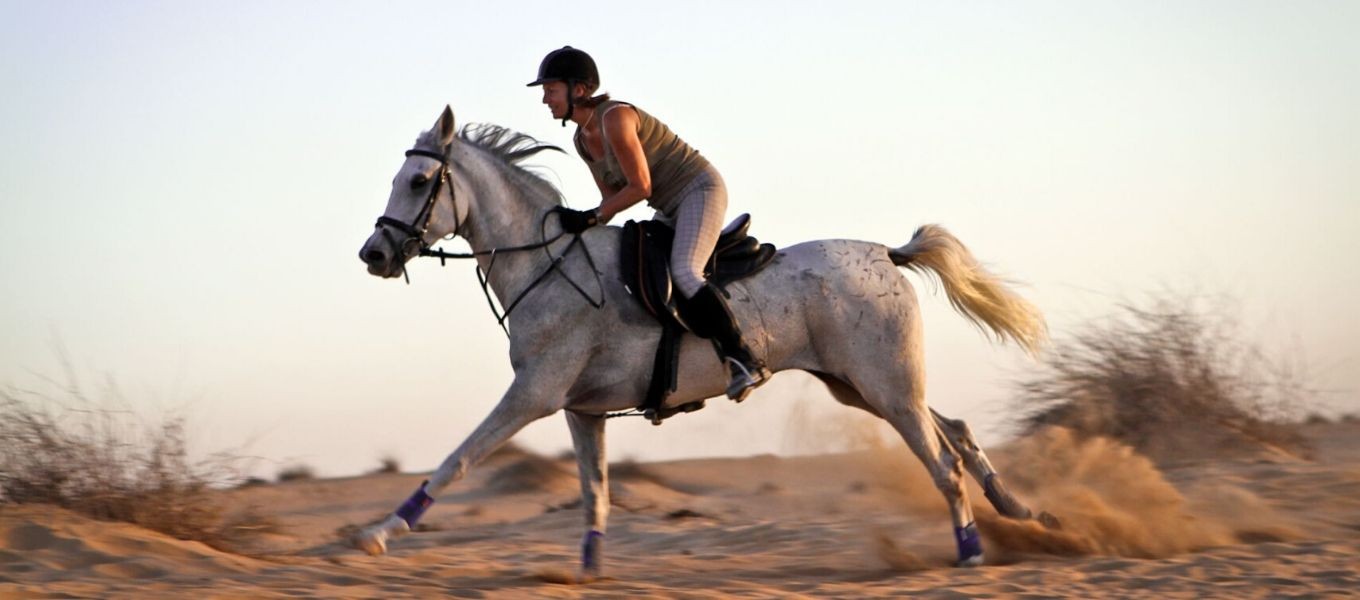 Horse Riding in Dubai